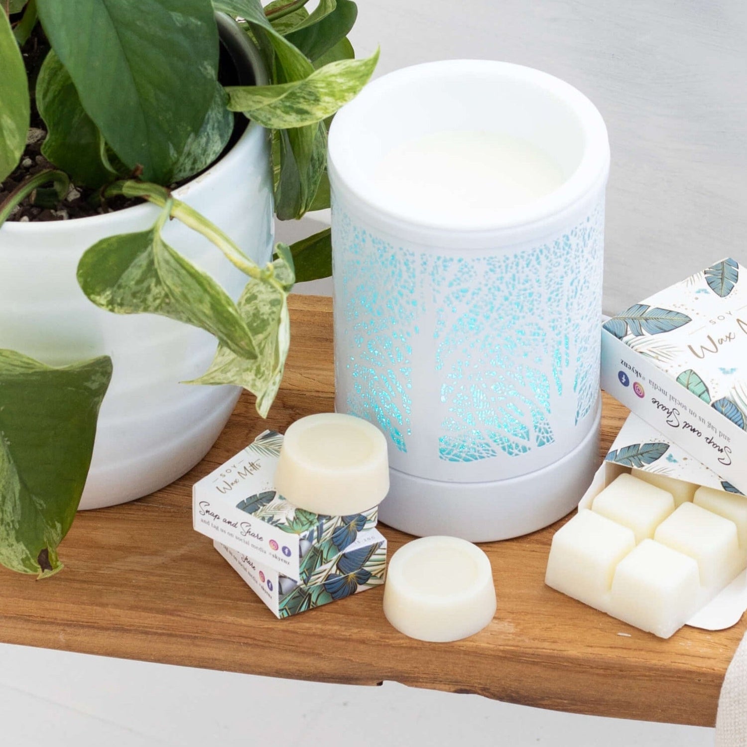 soy wax melt nz