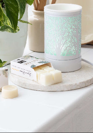 shop soy wax melts