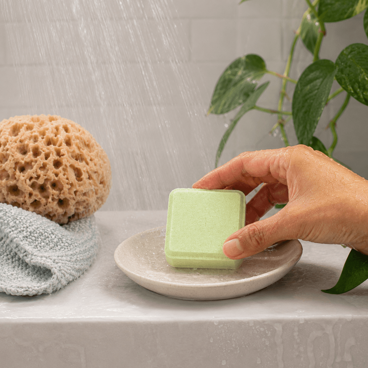 shower bomb nz