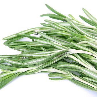 Rosemary Essential Oil NZ