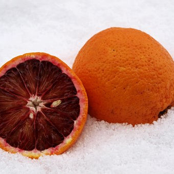 Blood Orange| Premium Natural Essential Oils | Aromatherapy in NZ