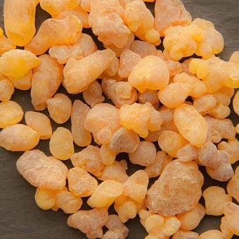 Frankincense | Premium Natural Essential Oils| Aromatherapy in NZ