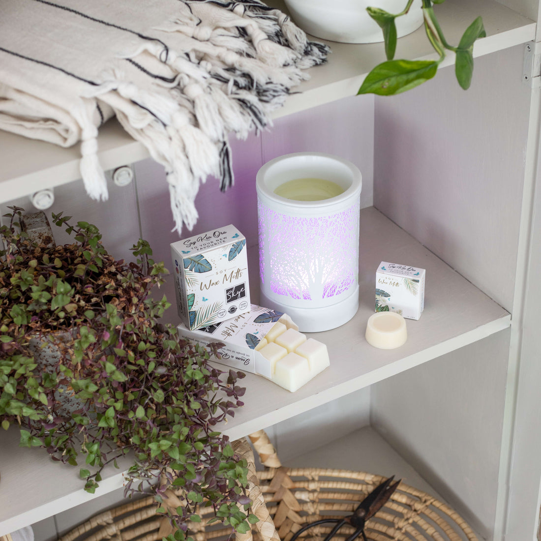 soy wax melts wellington