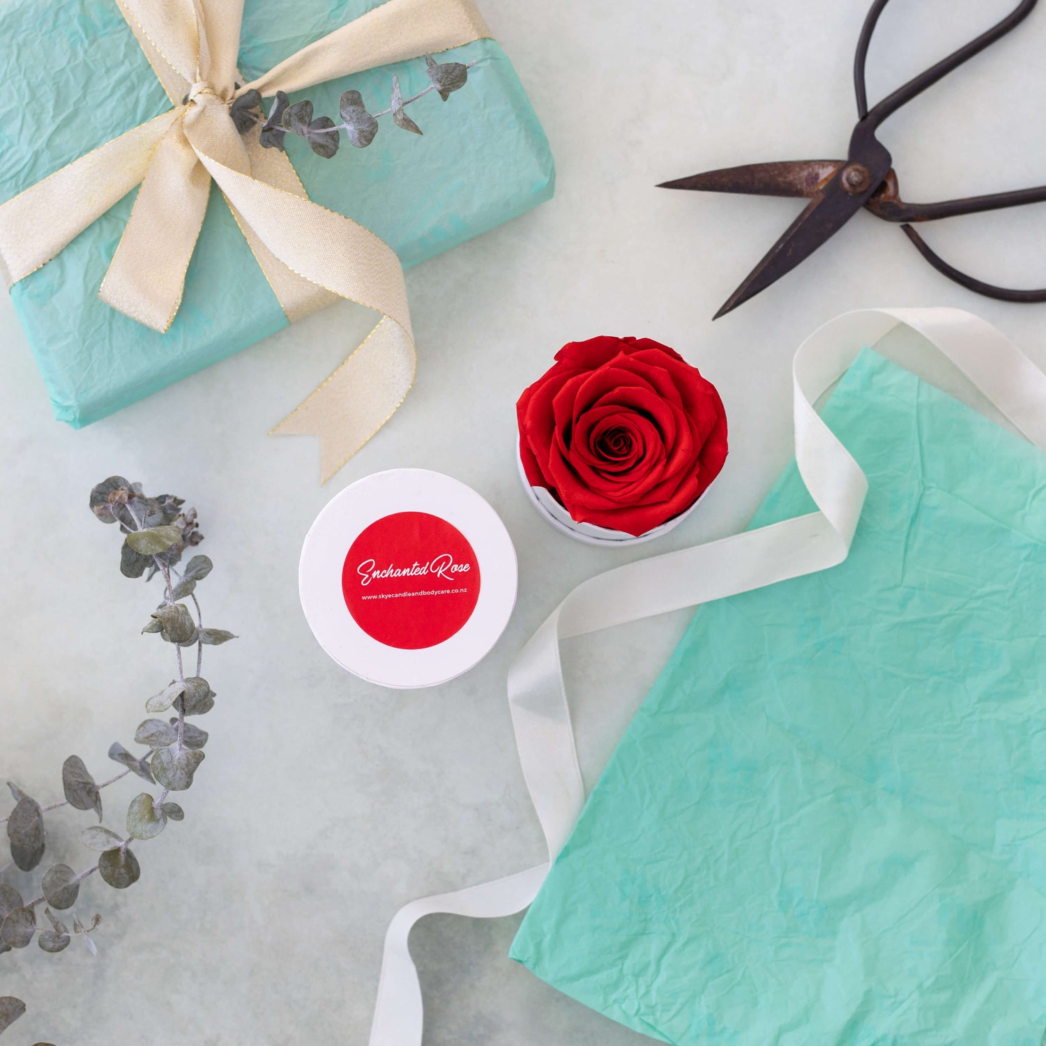 long lasting rose