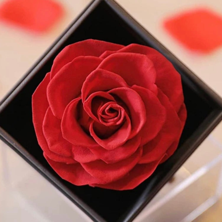 Preserved Rose Necklace