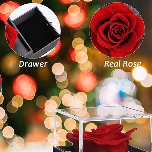 Preserved Rose Necklace