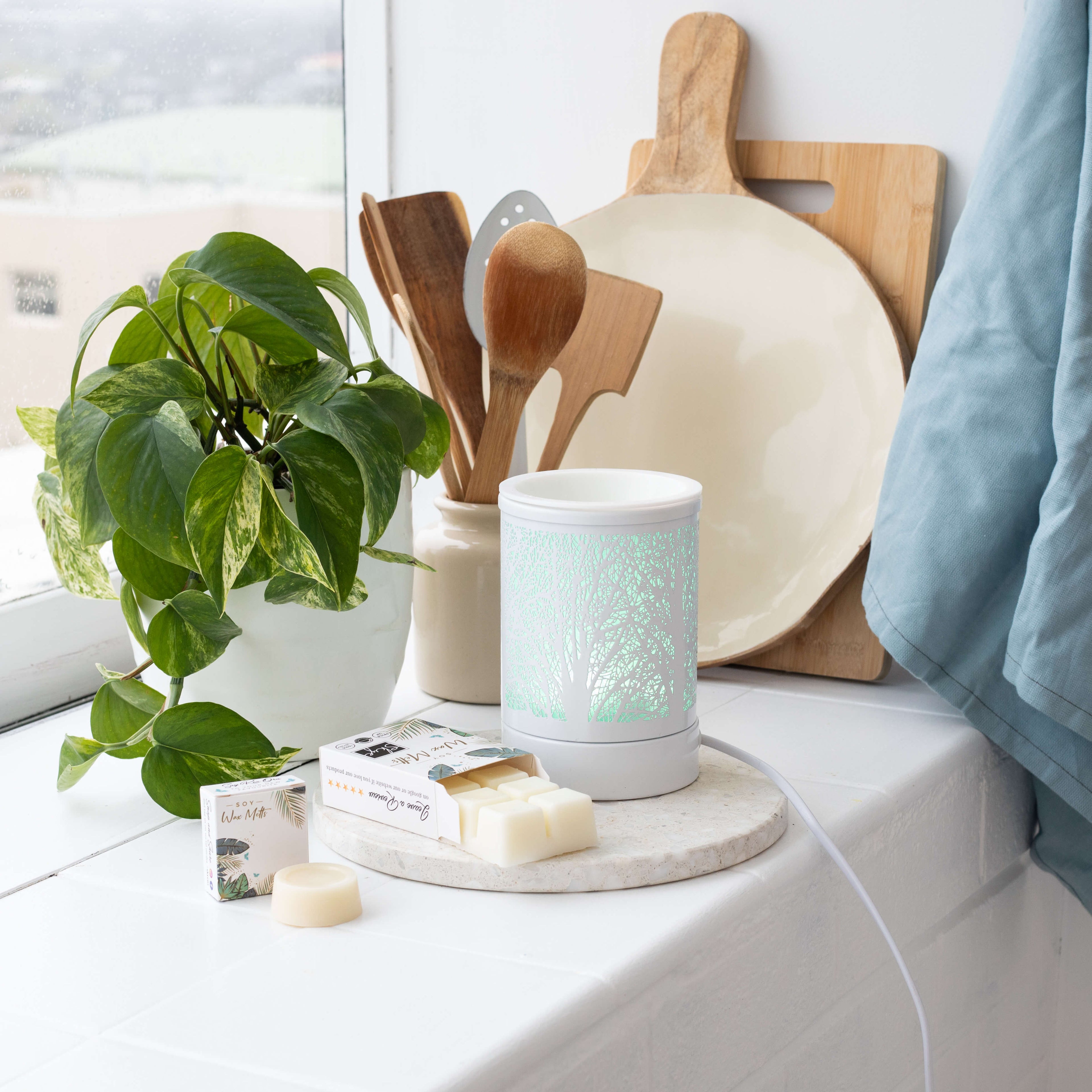 shop soy wax melts