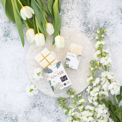 Christmas Wax Melts Collection