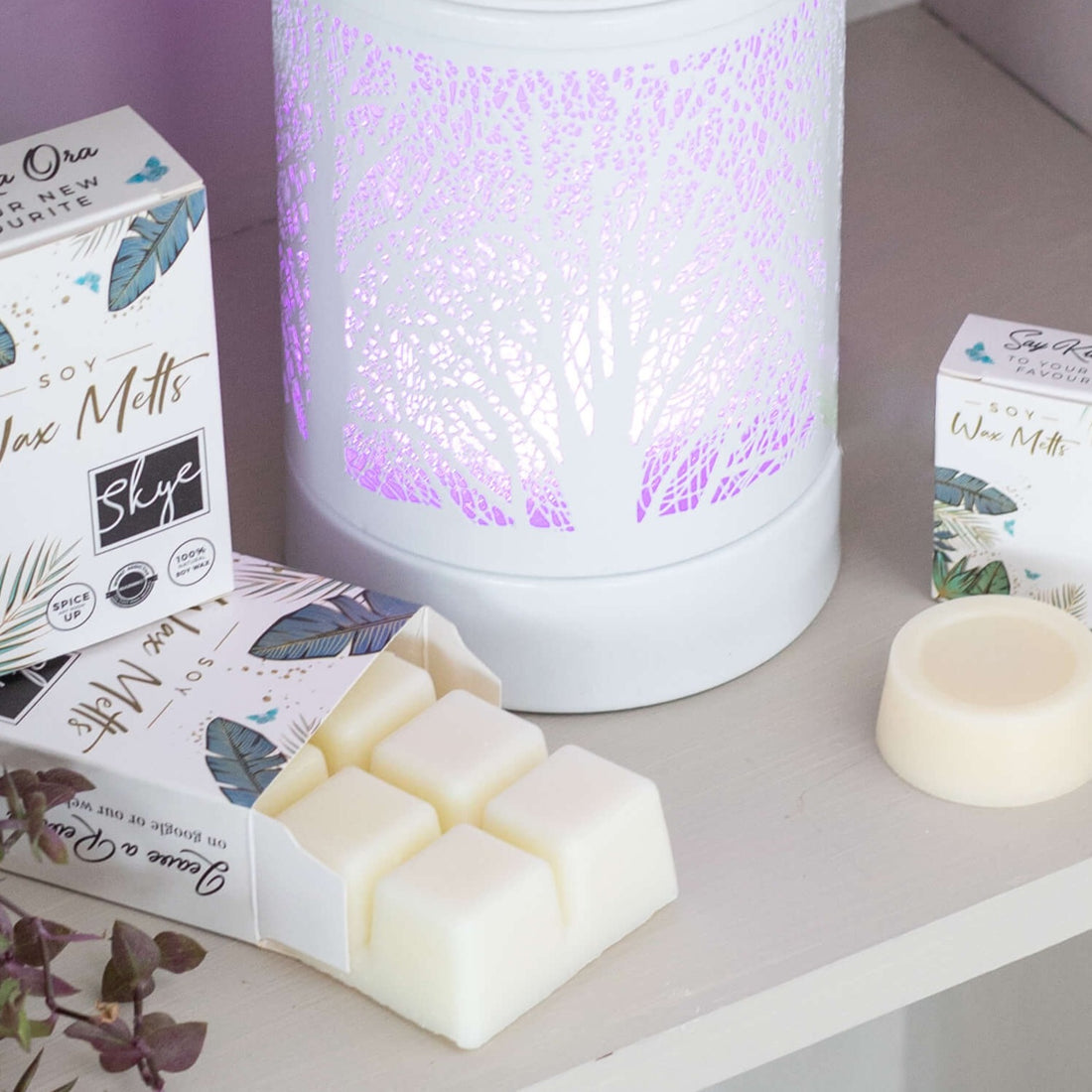 wax melts nz