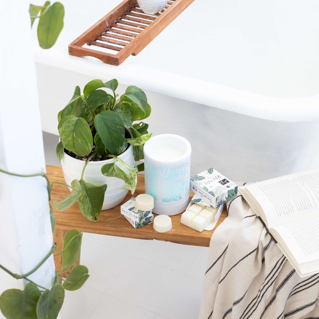 best scented soy wax melt